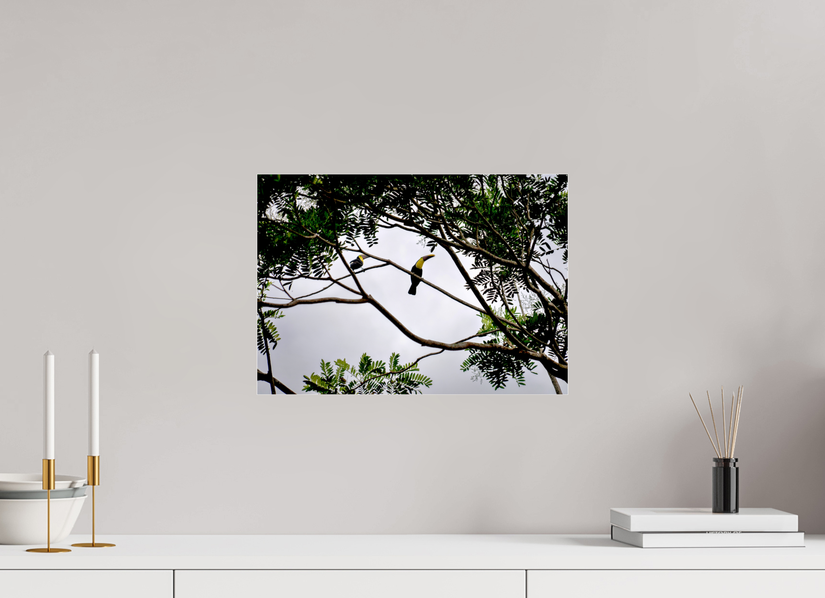42.3 x 30 cm, Photo Print Under Acrylic Glass A Hornbill on a Branch
