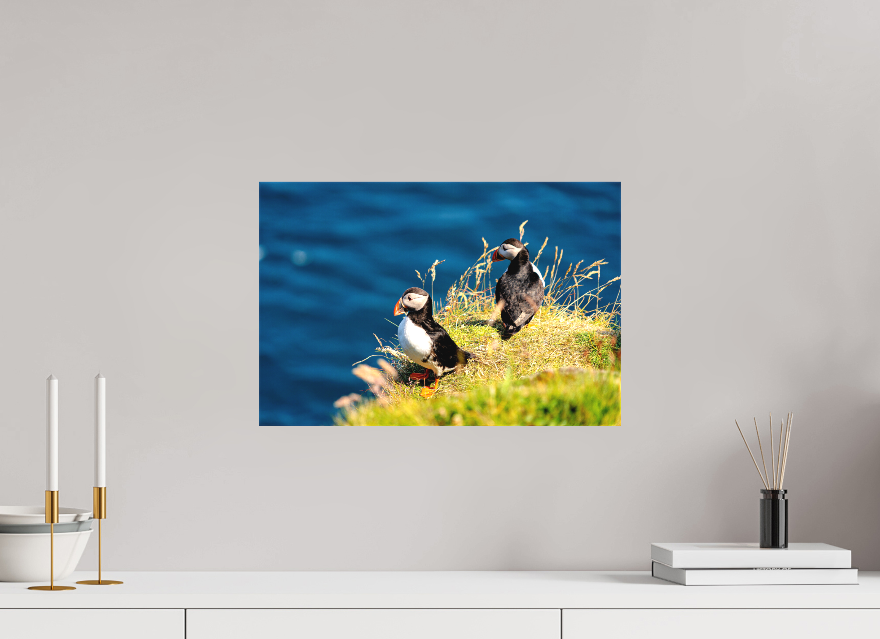 45 x 30 cm, Matte Canvas on Stretcher Frame Clifftop Puffins